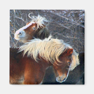 ponies magnet
