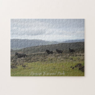 Ponies on Exmoor National Park, England Jigsaw Puzzle