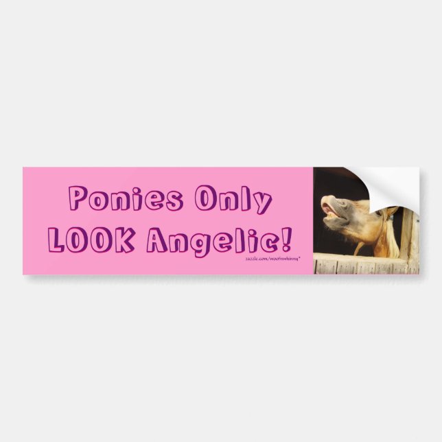Ponies Only LOOK Angelic! Bumper Sticker (Front)