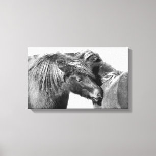 Ponies Scratch Canvas Print