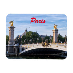 Pont Alexandre III on Seine River - Paris, France Magnet