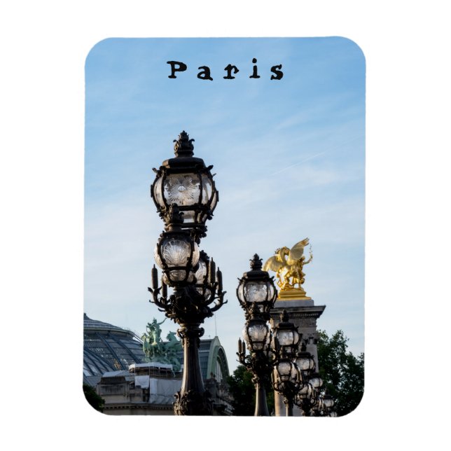 Pont Alexandre III - Paris, France Magnet (Vertical)