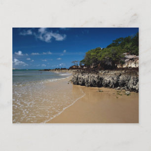 Ponta Negra Beach, Natal, Brazil Postcard