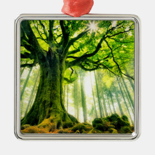 Ponthus' Beech Metal Tree Decoration