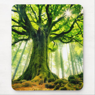 Ponthus' Beech Mouse Mat