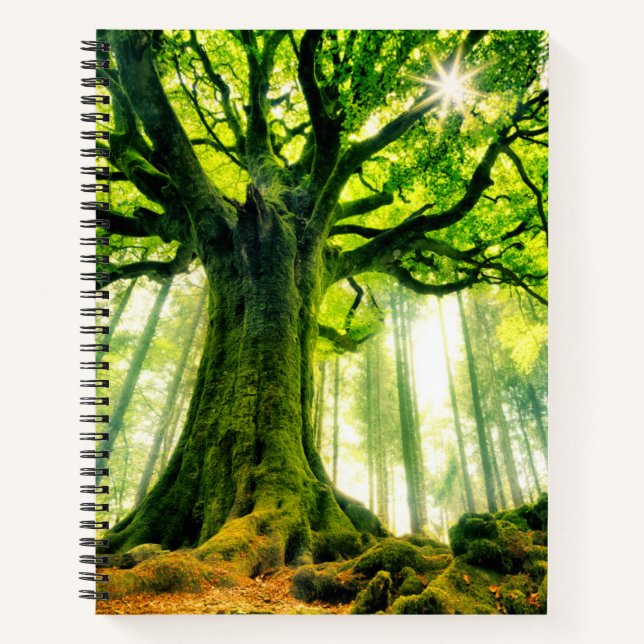 Ponthus' Beech Notebook (Front)