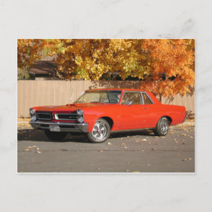 Pontiac GTO Postcard