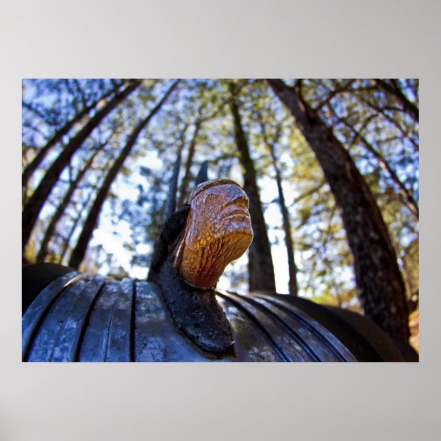 Pontiac Indian Hood Ornament (Brighter) Poster (Front)