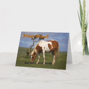 Pony And Lone Gorse birthday card