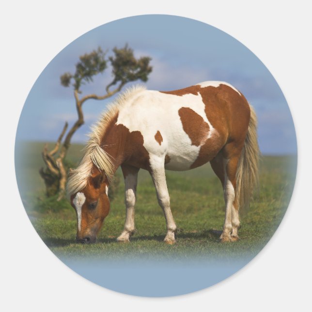 Pony And Lone Gorse stickers (Front)