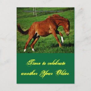Pony Birthday Postcard