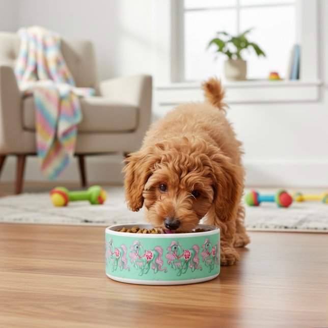 Pony Bowl (Creator Uploaded)