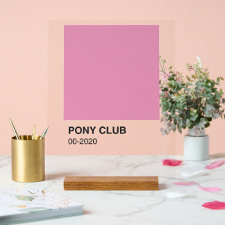 Pony Club Song Pink Colour - Clear Background Acrylic Sign