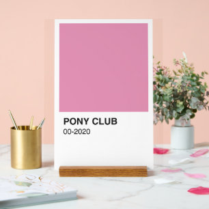 Pony Club Song Pink Colour - White Background Acrylic Sign