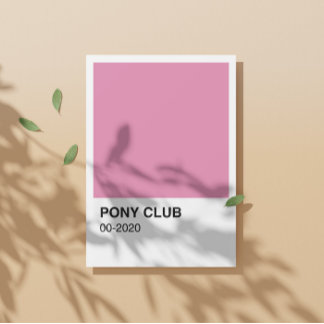 Pony Club Song Pink Colour - White Border Poster