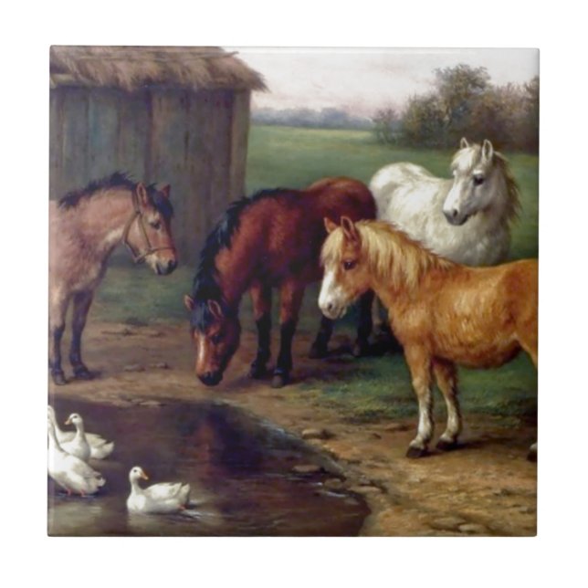 Pony donkey ducks farm tile (Front)