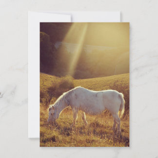 Pony Grazing Invitation