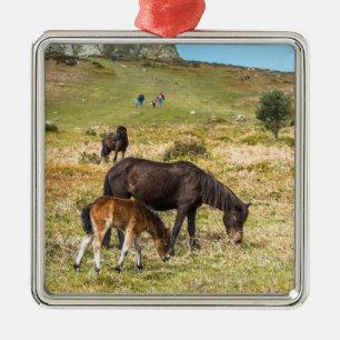 Pony Haytor rock in Dartmoor national park Devon Metal Tree Decoration
