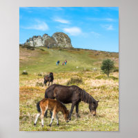 Pony Haytor rock in Dartmoor national park Devon