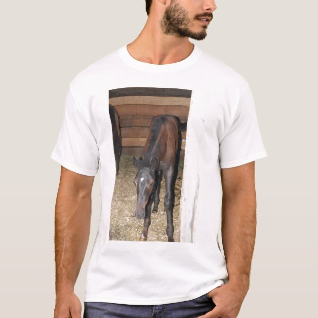 Pony/Horse T-Shirt (Front)