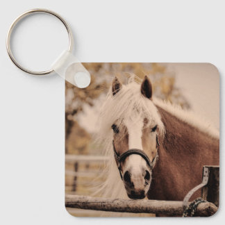 pony horsey  key ring