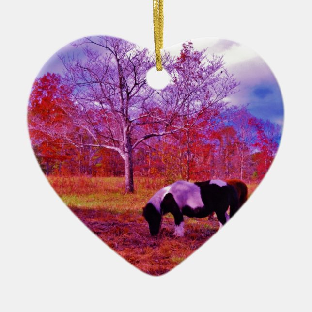 PONY IN A RAINBOW  coloured field Ceramic Tree Decoration (Front)