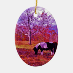 PONY IN A RAINBOW coloured field Ceramic Tree Decoration