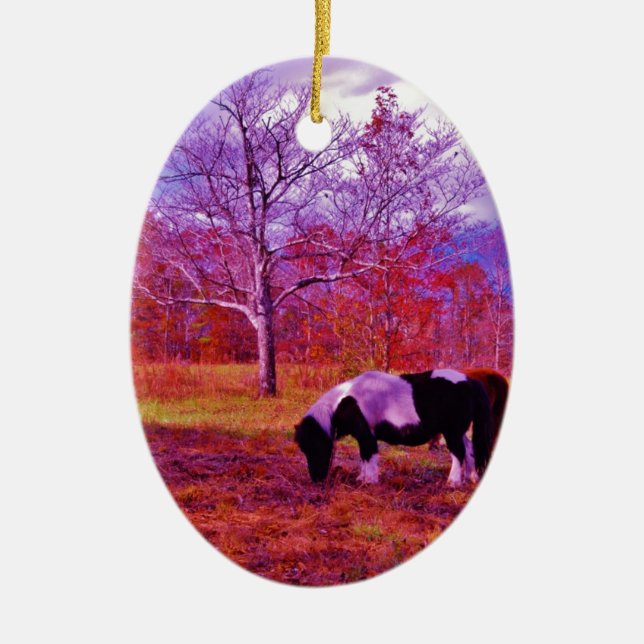 PONY IN A RAINBOW  coloured field Ceramic Tree Decoration (Front)