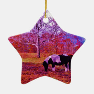 PONY IN A RAINBOW coloured field Ceramic Tree Decoration