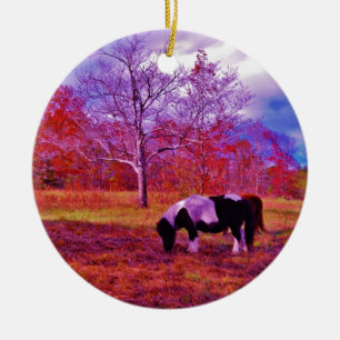 PONY IN A RAINBOW coloured field Ceramic Tree Decoration