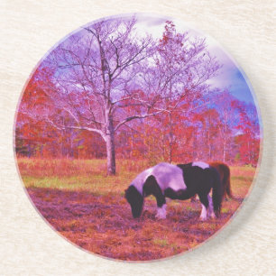 PONY IN A RAINBOW  coloured field Coaster