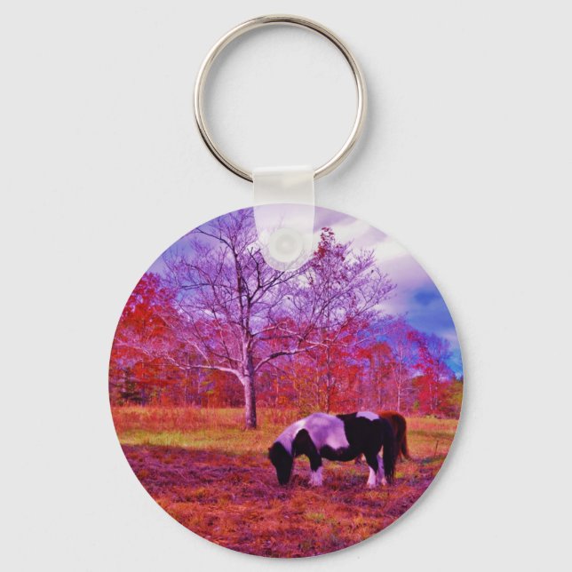 PONY IN A RAINBOW  coloured field Key Ring (Front)