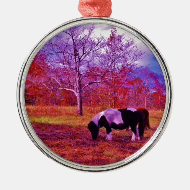 PONY IN A RAINBOW  coloured field Metal Tree Decoration (Front)