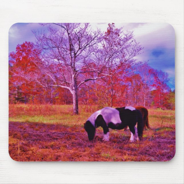 PONY IN A RAINBOW  coloured field Mouse Mat (Front)