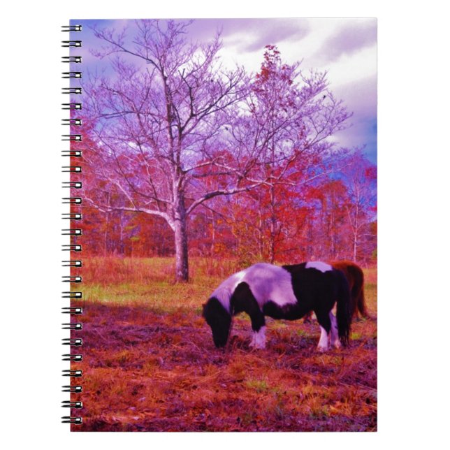 PONY IN A RAINBOW  coloured field Notebook (Front)