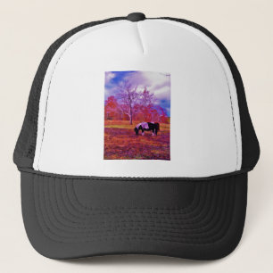 PONY IN A RAINBOW  coloured field Trucker Hat