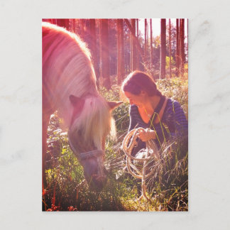 pony in the forest postcard