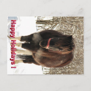 Pony in the Snow, Happy Holidays Holiday Postcard