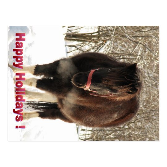 Pony in the Snow, Happy Holidays Postcard