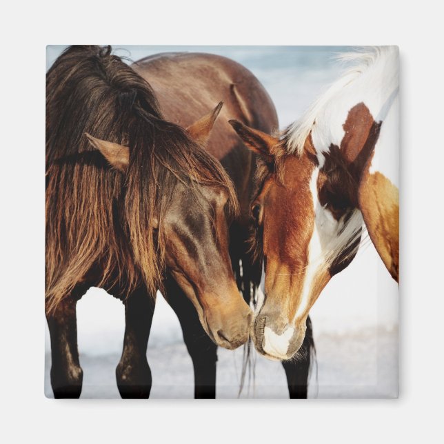 Pony Love Magnet (Front)