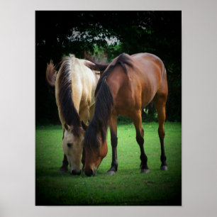 Pony Love Poster
