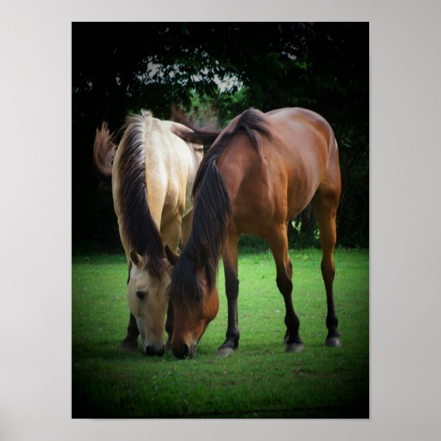 Pony Love Poster (Front)
