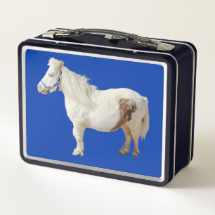 Pony miniature horse animal pet metal lunch box