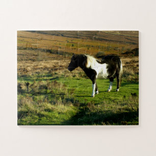 Pony on Dartmoor Jigsaw Puzzle