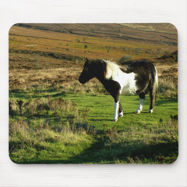Pony on Dartmoor Mouse Mat (Front)