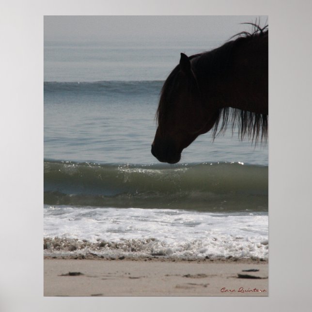Pony On The Beach Poster (Front)