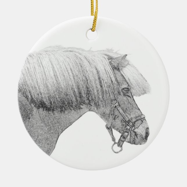 Pony ornament (Front)