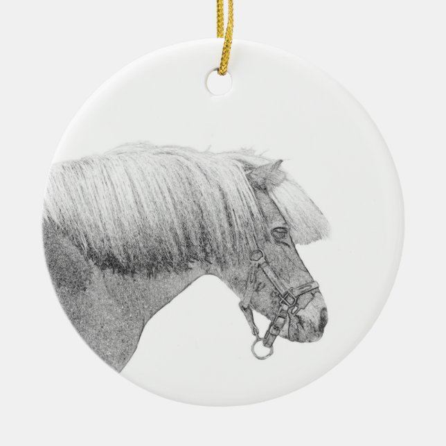 Pony ornament (Front)