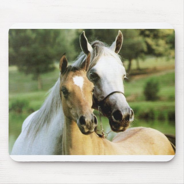 Pony Pad Mouse Mat (Front)