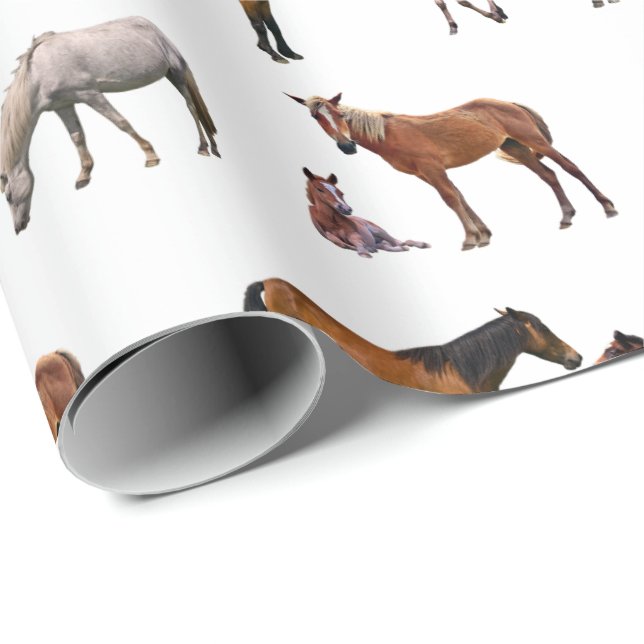 Pony Party Wrapping Paper (choose colour) (Roll Corner)